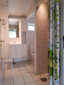 古兹耶姆碧提哥顿公寓的浴室配有水槽、卫生间和浴帘