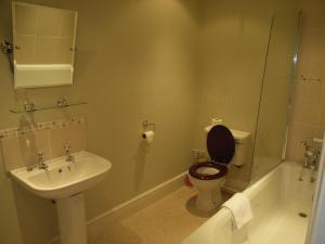 力推尼尔德纹章酒店的一间浴室