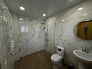卡兹贝吉cozy apartments kazbegi的浴室配有卫生间、淋浴和盥洗盆。