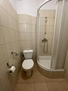 威利兹卡Pensjonat Południe的一间带卫生间和淋浴的小浴室
