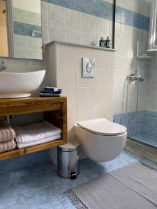 斯基亚索斯镇Calma Cottage的一间带水槽、卫生间和淋浴的浴室