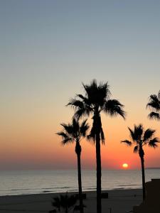萨格里什Retiro do Sossego的日落时分在海滩上种植的棕榈树