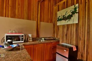 蒙泰韦尔德哥斯达黎加Cala Lodge的厨房配有带微波炉和水槽的台面