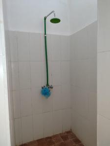 南威EAST SANDBANK apartment eco-friendly Nungwi airport road的浴室内设有带绿色软管的淋浴