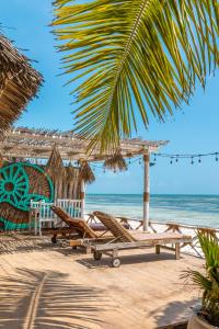 江比阿Pili Pili Sunrise的海滩上的一组椅子和遮阳伞