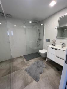 丰沙尔Apartamento Belo Horizonte的带淋浴、卫生间和盥洗盆的浴室
