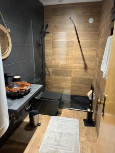 科维良Mountain Lodge T3 Duplex Abrigo do Lobo的带淋浴、卫生间和盥洗盆的浴室