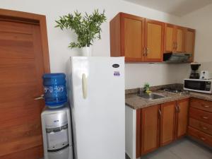 Apartment 1bdr Caribe的厨房或小厨房