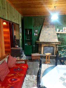 达尔德赫Vila Ceku的带沙发和壁炉的客厅