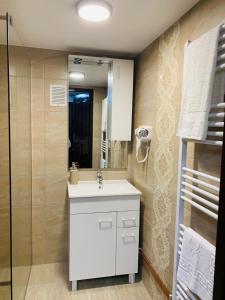 托普利察Casa Lazar的浴室配有白色水槽和淋浴。