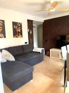 圣波拉Cozy apartment Playa Levante的带沙发和平面电视的客厅