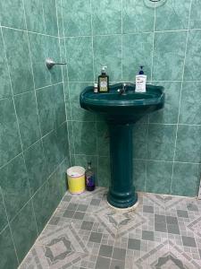 帕伦克Magnolia的绿色瓷砖浴室内的绿色水槽