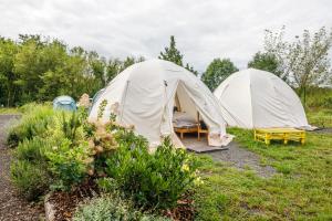 德辛杰钦坎普露营地的两顶白色帐篷,位于树木林立的田野