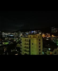 拉法洛维奇Belveder Montenegro的夜晚的城市景观