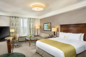 安纳海姆阿纳海姆艾雅酒店的酒店客房设有一张大床和一台电视。