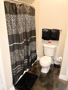 休斯顿Luxe Lavish w/ Pool的一间带卫生间和淋浴帘的浴室
