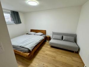 扬斯凯拉兹涅Apartmány Rezidence Lyžařská的一间卧室配有一张床和一张沙发