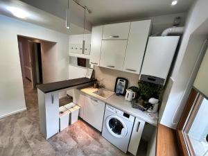 蒂米什瓦拉Sal Apart的厨房配有白色橱柜和洗衣机。