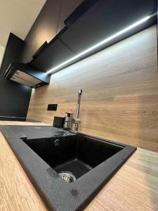 圣艾蒂安Appartement Saint-Etienne hyper centre的厨房配有黑色水槽