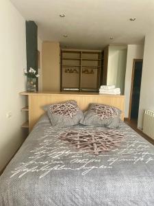 托罗Apartamento Ronda San Antón的一间卧室配有一张大床和两个枕头