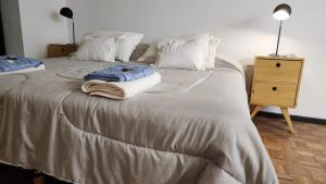 科尔多瓦Hermoso Apartamento en Edificio Saint Michel的一间卧室配有一张大床和床头柜