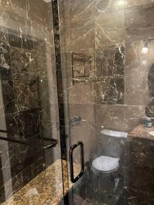 奥罗拉Executive Style Home next to Light Rail-Hospitals的浴室设有玻璃淋浴间和卫生间