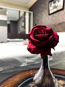 安曼拜尔克尼酒店的银花瓶里红玫瑰花在桌子上