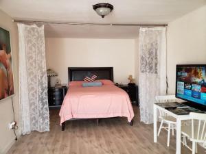 帕伦普Sun Tiny House B Pahrump的卧室配有粉红色的床和电视。