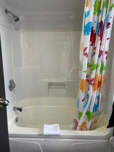蒙特利尔APD HOTEL的带浴缸和浴帘的浴室