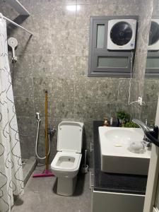开罗Hotel Appartments的一间带卫生间和水槽的小浴室