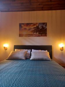 圣塞巴斯蒂安Recanto do Sossego的一间卧室配有一张大床和两盏灯