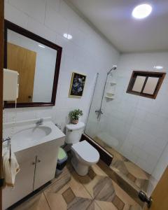 普孔Cabañas Condominio El Bosque的浴室配有卫生间、盥洗盆和淋浴。