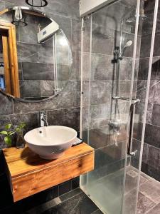 巴位Thang Mây Village Resort的一间带水槽和玻璃淋浴的浴室