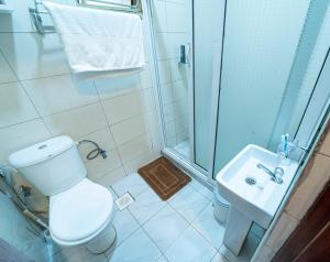 坎帕拉THEATRE OF DREAMS HOMES的带淋浴、卫生间和盥洗盆的浴室