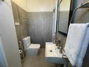 韦利格默River Post Coworking and Coliving Weligama的一间带卫生间、水槽和镜子的浴室