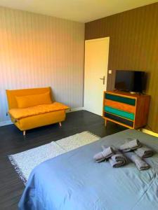 凯恩Appartement spacieux, calme et lumineux.的一间卧室配有一张床、一张沙发和一台电视。