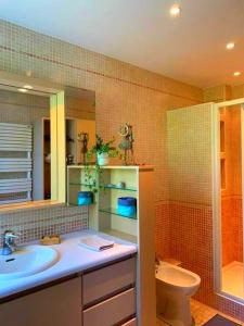 凯恩Appartement spacieux, calme et lumineux.的一间带水槽、卫生间和镜子的浴室