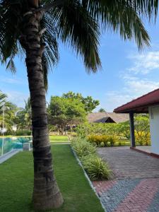 尼拉瓦利NN Beach Resort & SPA的房屋前的棕榈树
