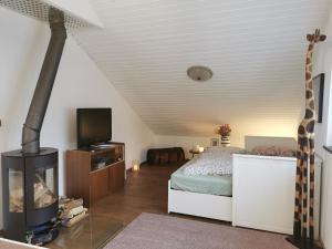 梅舍德Wohnung in idyllischem Örtchen的一间卧室配有一张床,并在一间客房内配有电视。