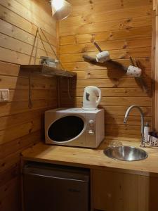 בוסתן החורש- חיפה的厨房柜台配有微波炉和水槽