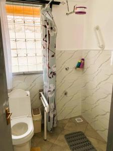 纳库鲁3 Bedroom Laneens Nest的一间带卫生间和淋浴的小浴室