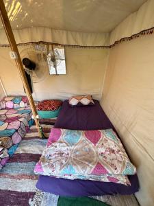 锡瓦Muhra Camp Siwa的小房间,帐篷里配有一张床