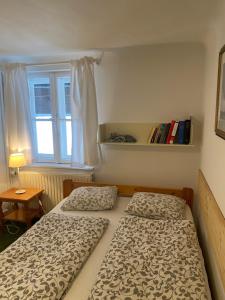 Sankt UlrichWeingut Martinshof的小型客房 - 带2张床和窗户