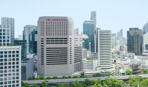 曼谷Crowne Plaza Bangkok Lumpini Park, an IHG Hotel的城市天际线,高楼,高速公路