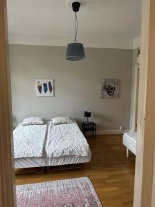 哥德堡Luxury Apartment In City Centre的一间卧室配有一张床和吊灯
