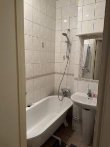 哥德堡Luxury Apartment In City Centre的带浴缸和盥洗盆的浴室
