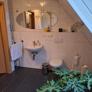 汉诺威Messe Zimmer Hannover的一间带水槽、卫生间和镜子的浴室