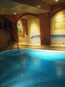 斯特拉斯堡奥瑟夫多尔餐厅酒店的一座大型游泳池,位于一座带大型游泳池的建筑内