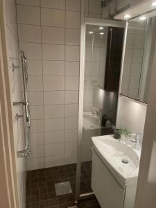 哥德堡Luxury Apartment In City Centre的白色的浴室设有水槽和淋浴。