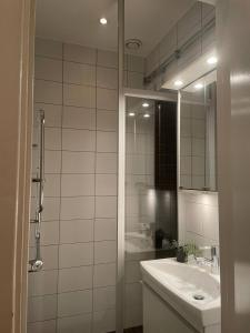 哥德堡Luxury Apartment In City Centre的一间带水槽和镜子的浴室
